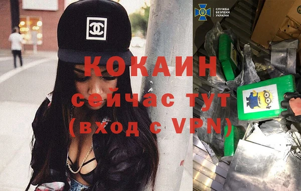 ешки Белокуриха